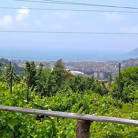 Valley סלרנו